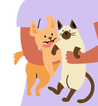 pet card background image